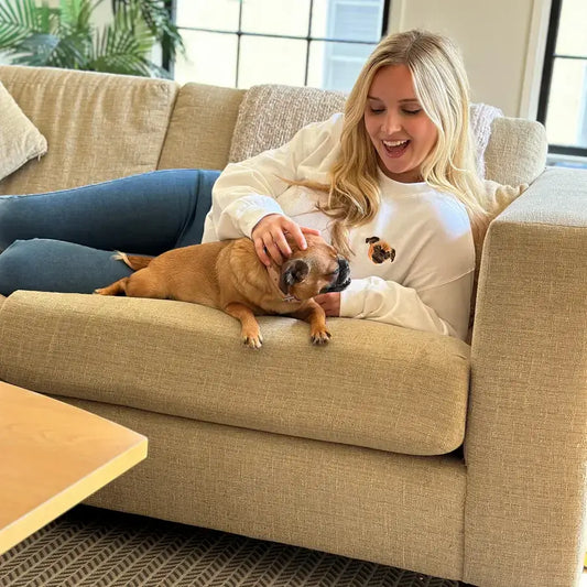 Bringing Home a New Puppy? A Complete Guide for First-Time Dog Owners