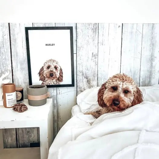 Best-Sellers Paw-Pixie