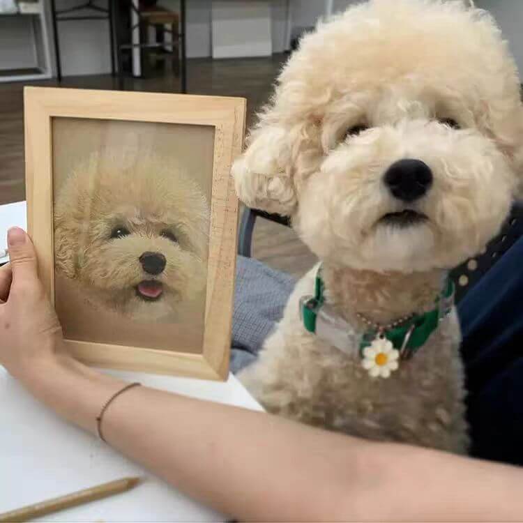 Hand-drawn custom colored pencil portrait of fluffy white poodle beside original pet — personalized Paw-Pixie artwork