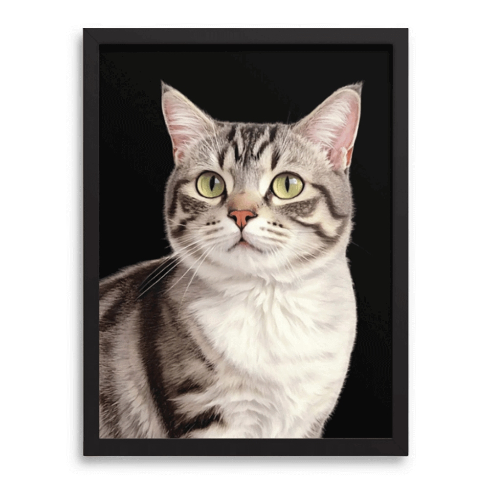 Handcrafted colored pencil portrait of cat with black frame on charcoal gray background — custom pet drawing