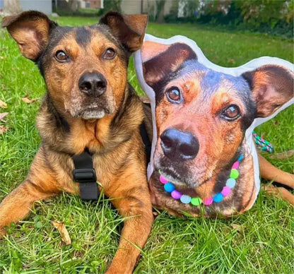 Custom Shaped Pet Portrait Pillows