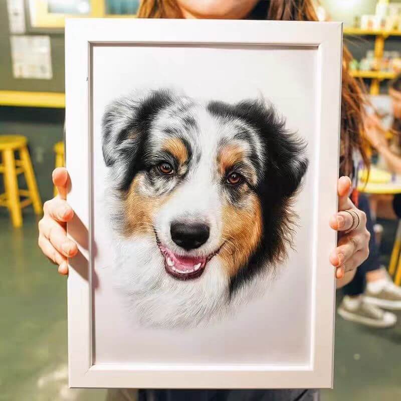 Custom colored pencil portrait of Australian Shepherd dog in wooden frame — Paw-Pixie pet artwork