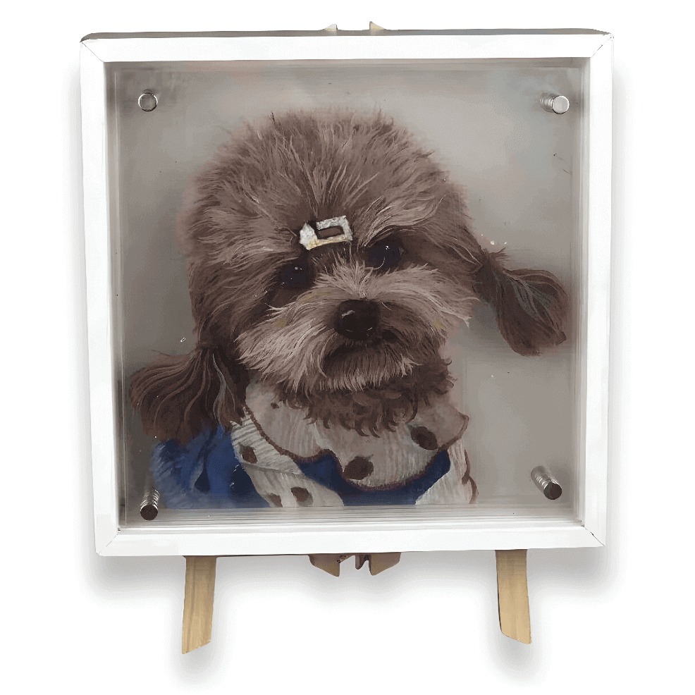 Custom 3D acrylic pet display with dog artwork, personalised memorial gift