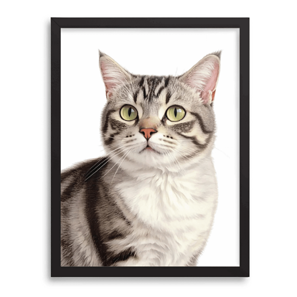 Custom colored pencil cat portrait with black frame on soft white background — Paw-Pixie pet art
