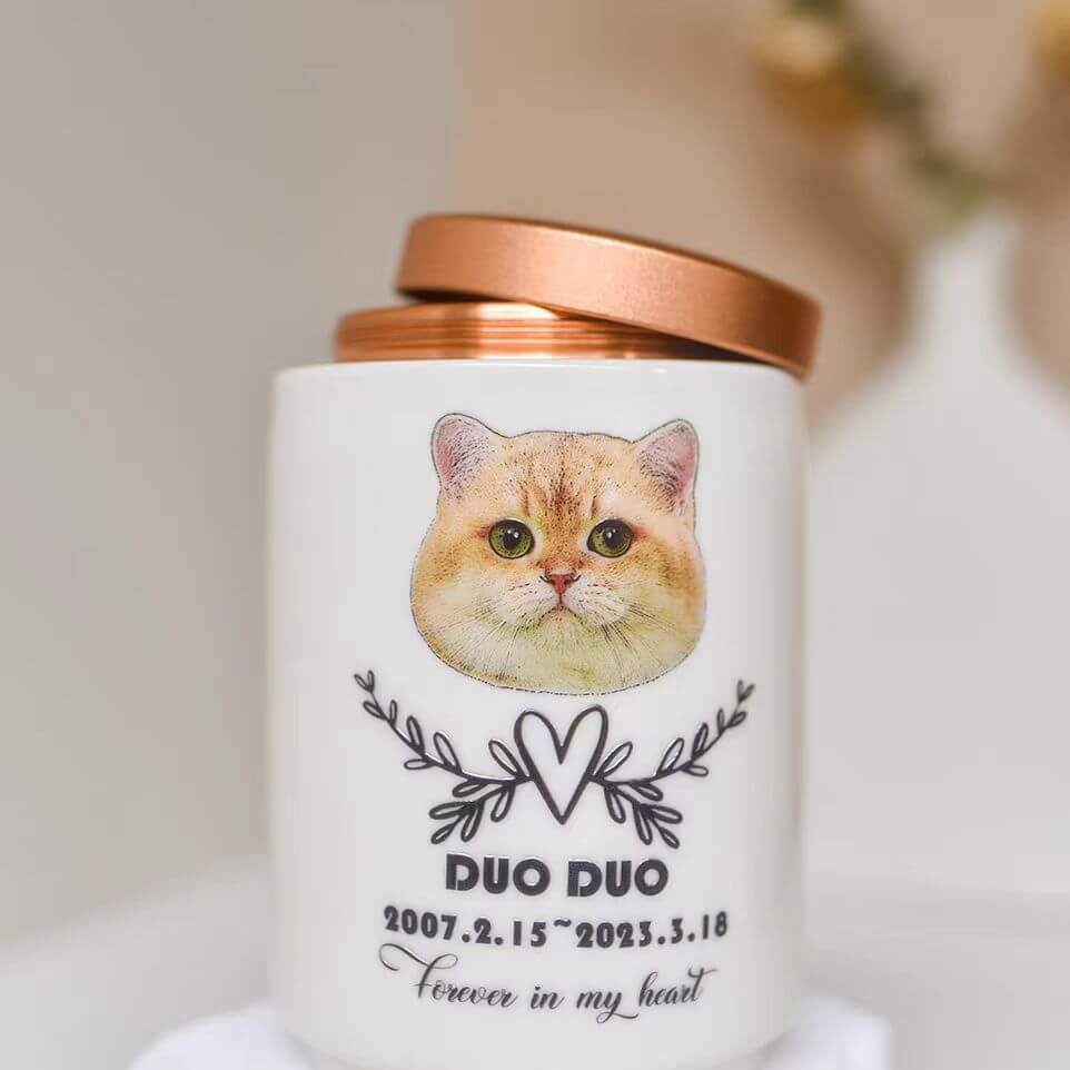 Personalized Pet Urn with cat engraving and rose gold lid, secure ashes container for pet memorial — by Paw-Pixie