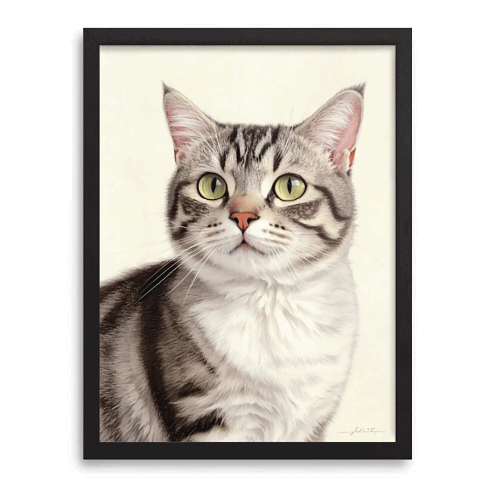 Handcrafted colored pencil portrait of gray tabby cat with black frame on soft white background — Paw-Pixie pet portrait