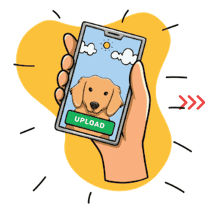 Submit pet photo to create cuddle clones plush and renaissance pet artwork