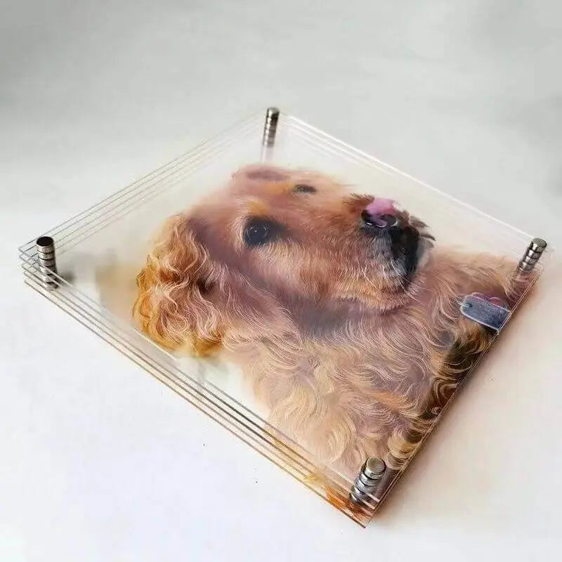 Custom 3D Acrylic Pet Display showing a realistic dog portrait embedded in acrylic block by Paw-Pixie