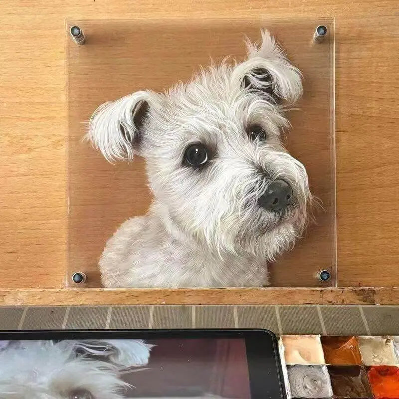 Custom 3D Acrylic Pet Display with realistic dog portrait inside transparent acrylic frame by Paw-Pixie