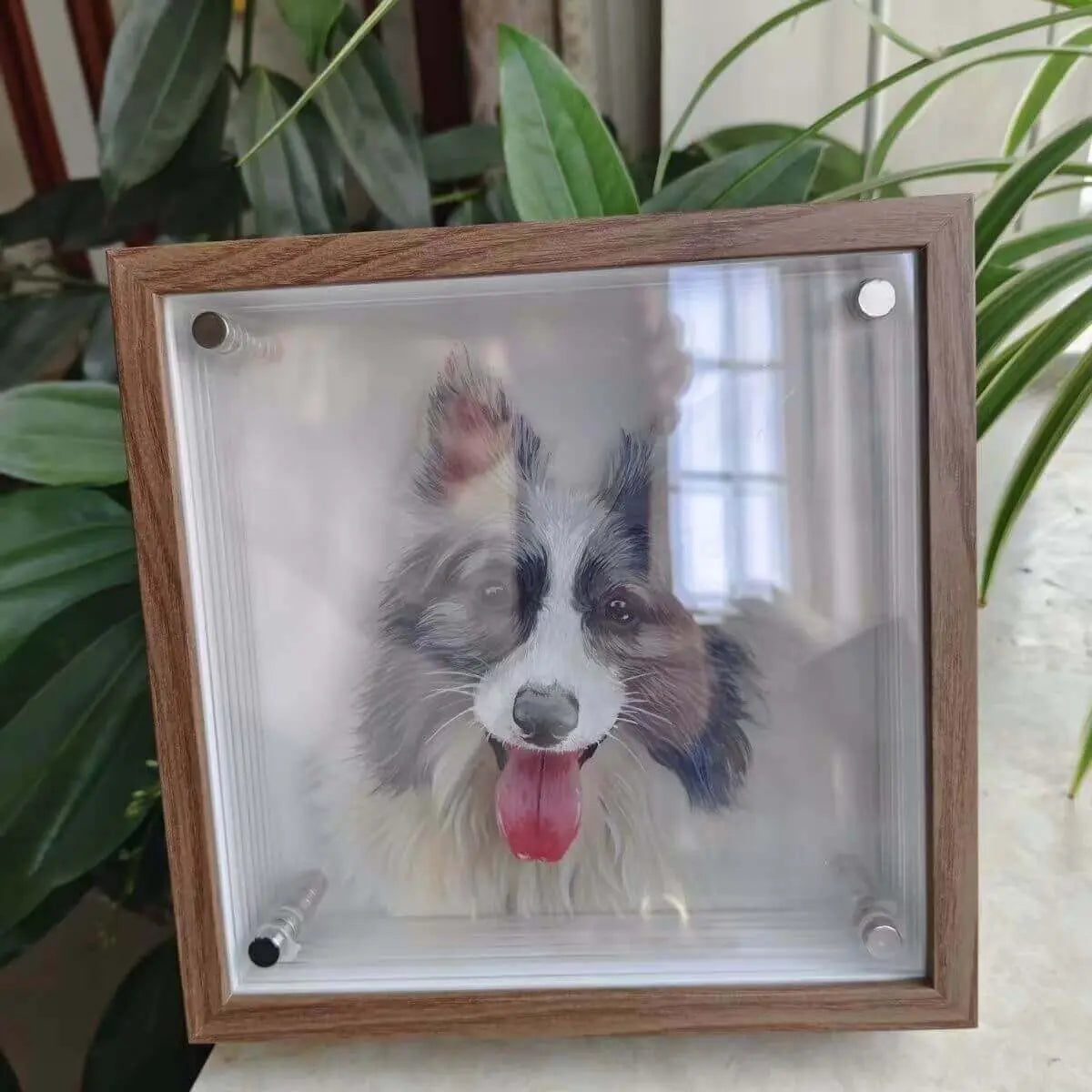 Custom 3D Acrylic Pet Display with dog photo inside transparent acrylic frame on table by Paw-Pixie