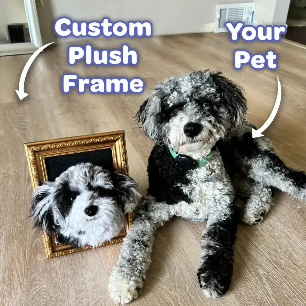 Custom framed plush portrait of a black and gray dog shown beside the real pet.