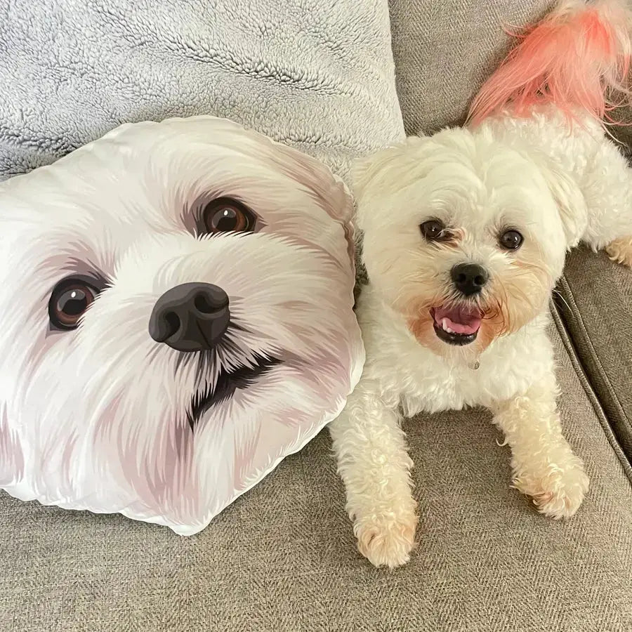 White fluffy dog lying beside its personalized pet pillow in matching design.
