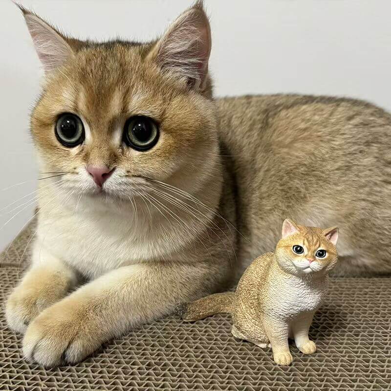 Custom pet plaster sculpture of a cat placed beside the real cat, showing lifelike resemblance with detailed features.