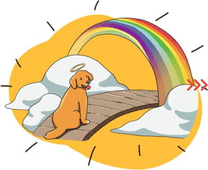 Pet memorial gifts for dogs and cats after loss, personalised remembrance artwork